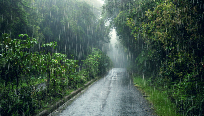 Suasana disaat hujan