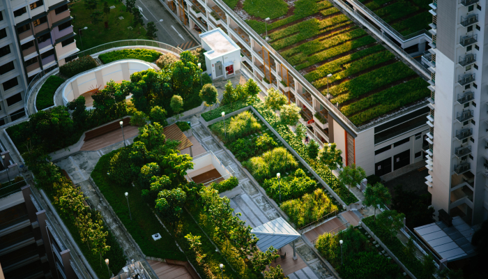 Green Roof – Kenali Inovasi Menakjubkan Atap Berkelanjutan Ini